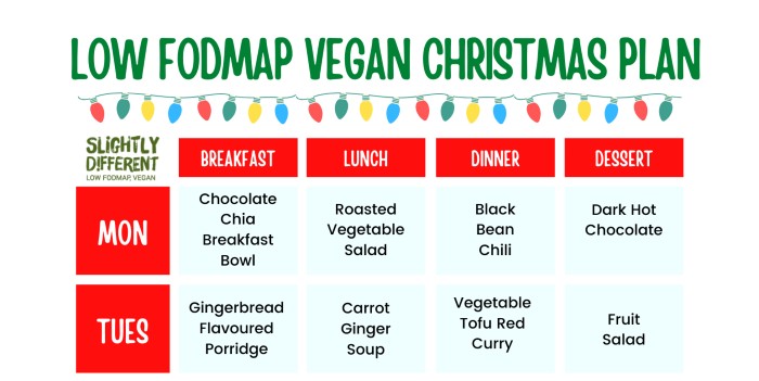 Download Your Vegan 7 Day Christmas Meal Plan